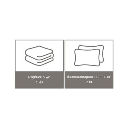 ชุดผ้าปูที่นอน 5 ฟุต (ชุด 3 ชิ้น) PERICO WE BARE BEARS P052_5