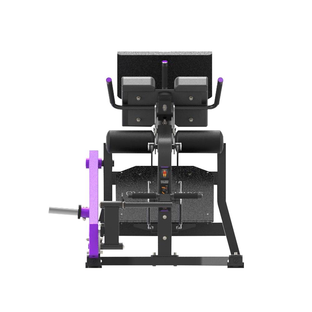 PEACHBUILDER MULTI HIP EXTENSION IVADE