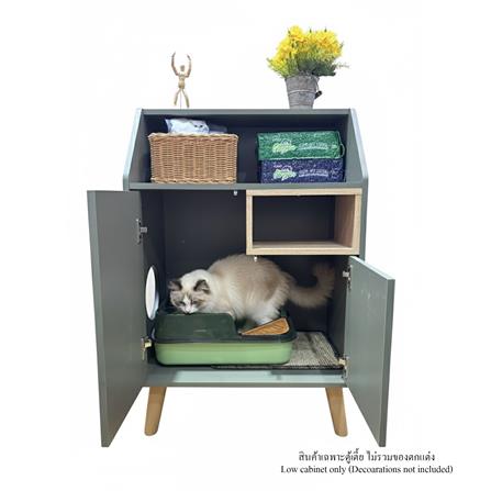 ตู้เตี้ย บานผสม TOMATO CATZ TC-CC-AL-02 62.5 ซม. สีเขียว_2