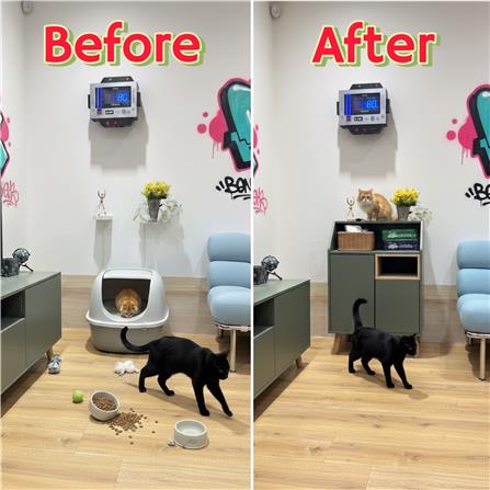 ตู้เตี้ย บานผสม TOMATO CATZ TC-CC-AL-02 62.5 ซม. สีเขียว_4