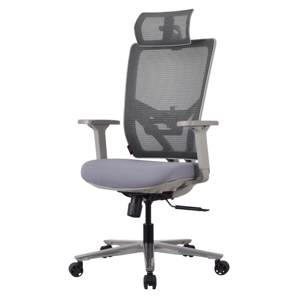 เก้าอี้สุขภาพ ERGOTREND OSLO สีเทา