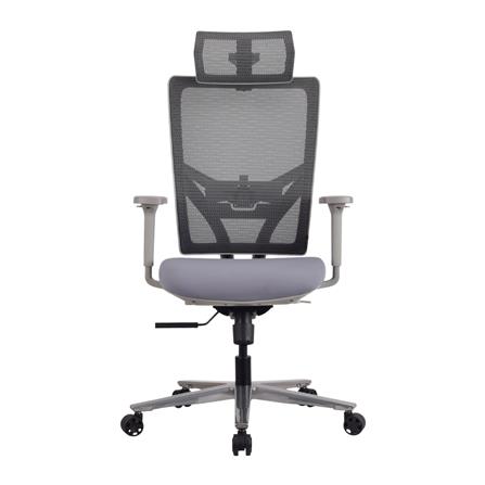 เก้าอี้สุขภาพ ERGOTREND OSLO สีเทา_1