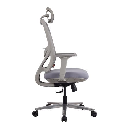 เก้าอี้สุขภาพ ERGOTREND OSLO สีเทา_2
