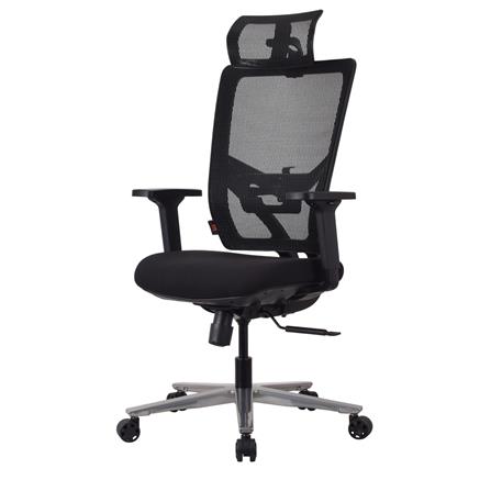 เก้าอี้สุขภาพ ERGOTREND OSLO สีดำ_0