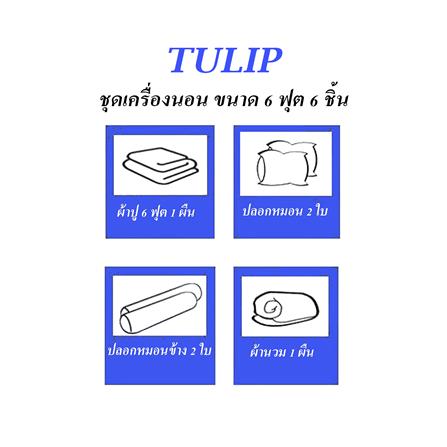 ชุดผ้าปูที่นอน 6 ฟุต (ชุด 6 ชิ้น) TULIP DELIGHT 60204-DL128_4