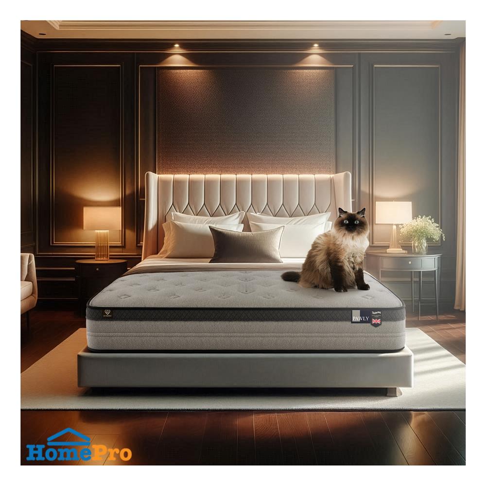 ที่นอน 6 ฟุต SLUMBERLAND PAWLY