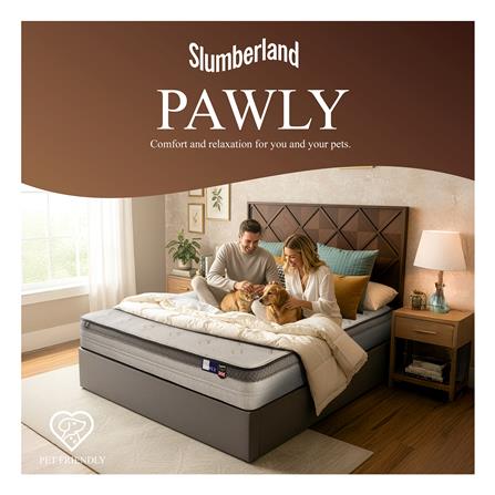 ที่นอน 6 ฟุต SLUMBERLAND PAWLY_6