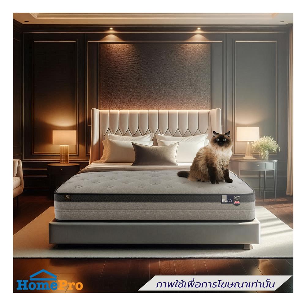 ที่นอน 3.5 ฟุต SLUMBERLAND PAWLY