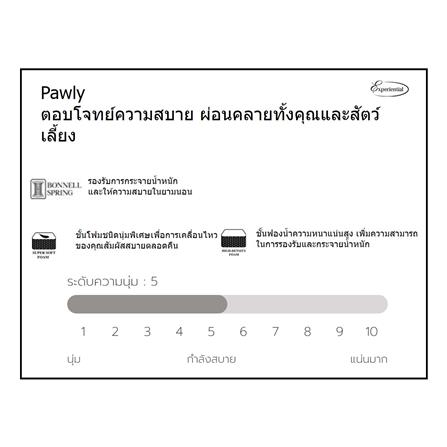 ที่นอน 3.5 ฟุต SLUMBERLAND PAWLY_8