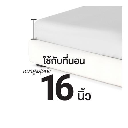 ชุดผ้าปูที่นอน 3.5 ฟุต (ชุด 4 ชิ้น) FROLINA ONDARA CBDF011_10