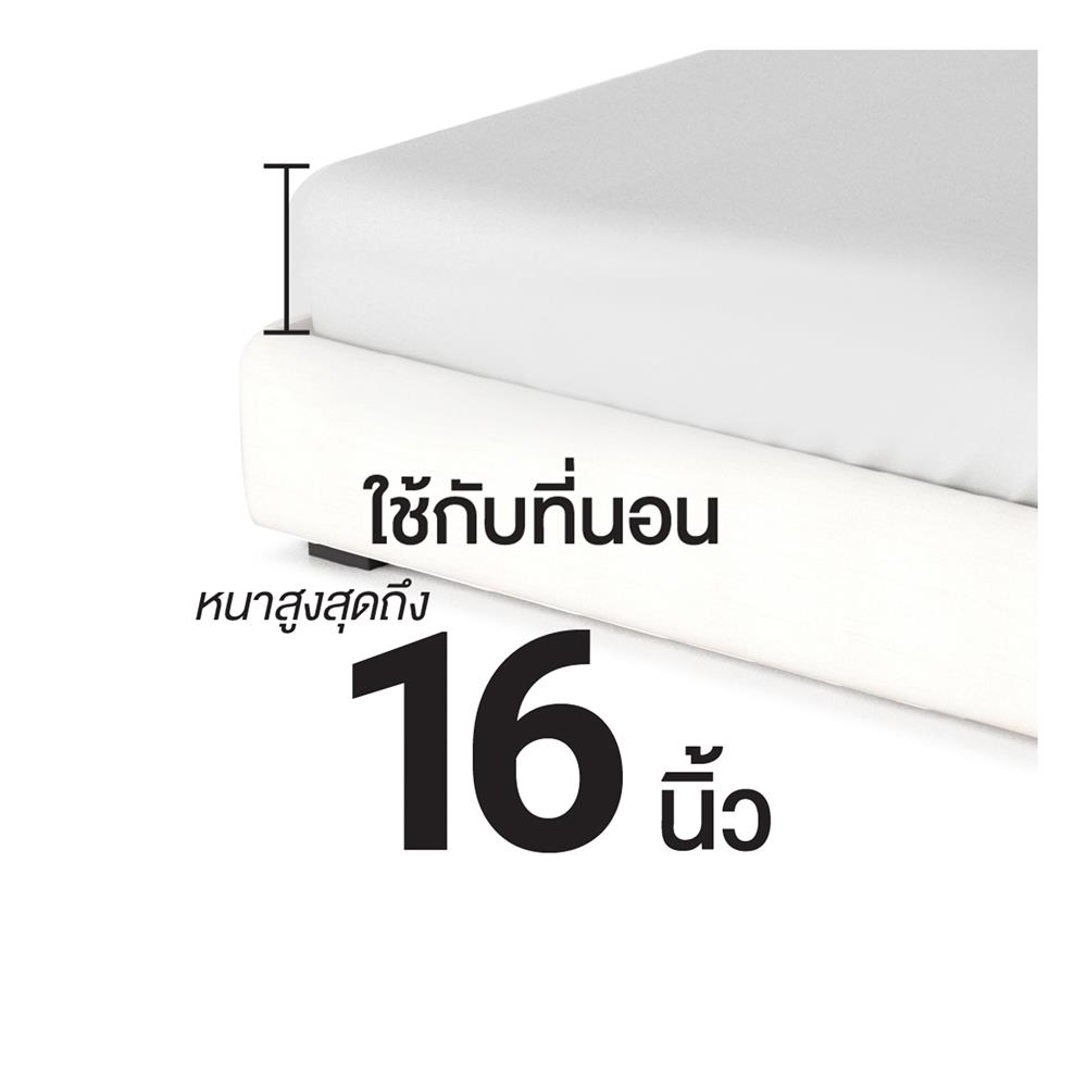 ชุดผ้าปูที่นอน 3.5 ฟุต (ชุด 4 ชิ้น) FROLINA CAEROLA CBDF012