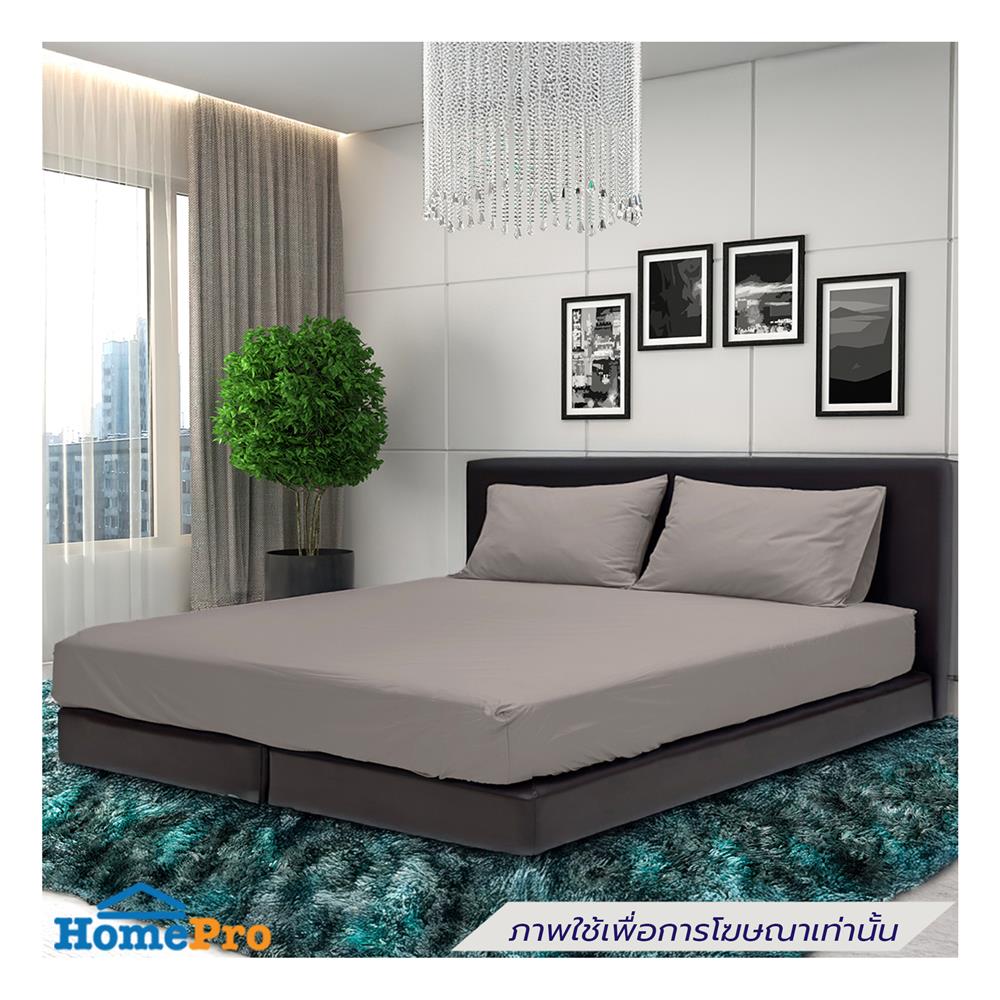 ชุดผ้าปูที่นอน 3.5 ฟุต (ชุด 3 ชิ้น) STEVENS PURE COTTON DN21BI