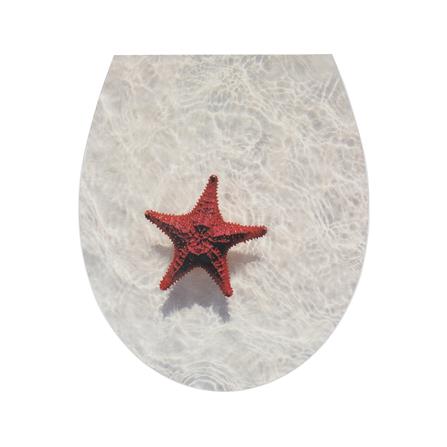 ฝารองนั่ง MOYA DUROPLAST HY-UF87-PET-4105 SEA_2