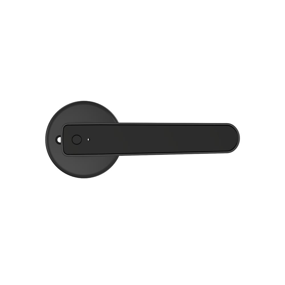 กลอนดิจิตอล AZLE FL-22 สีดำ