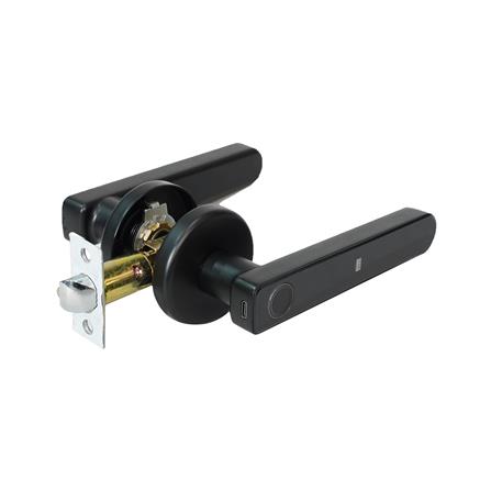 กลอนดิจิตอล AZLE FL-22 สีดำ