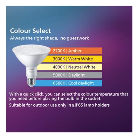 หลอด LED PHILIPS PAR38 12 วัตต์ DAYLIGHT/COOL WHITE/WARM WHITE_2