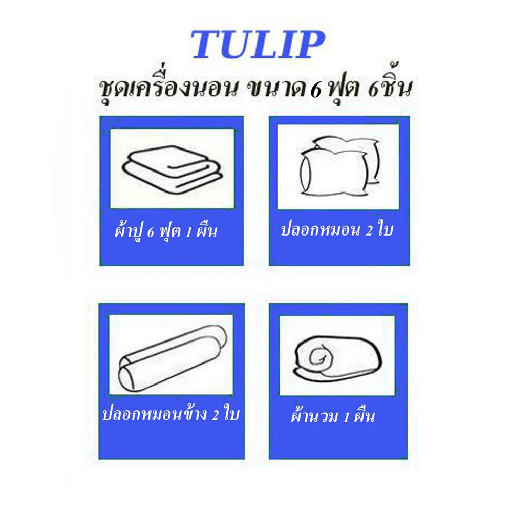ชุดผ้าปูที่นอน 6 ฟุต (ชุด 6 ชิ้น) TULIP DELIGHT 60239-DL593
