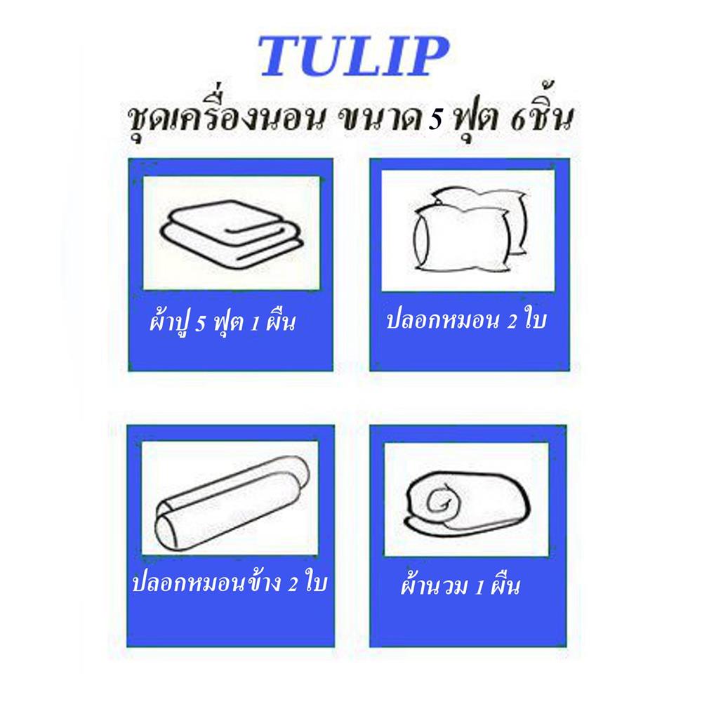 ชุดผ้าปูที่นอน 5 ฟุต (ชุด 6 ชิ้น) TULIP DELIGHT 60240-DL593