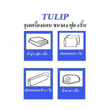 ชุดผ้าปูที่นอน 6 ฟุต (ชุด 6 ชิ้น) TULIP DELIGHT 60239-DL596_4