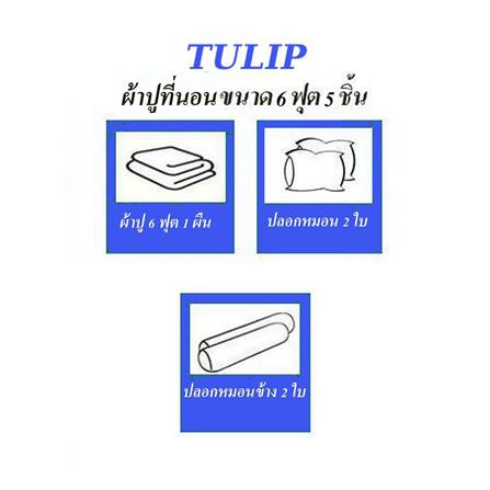 ชุดผ้าปูที่นอน 6 ฟุต (ชุด 5 ชิ้น)  TULIP DELIGHT 60056-DL596_4