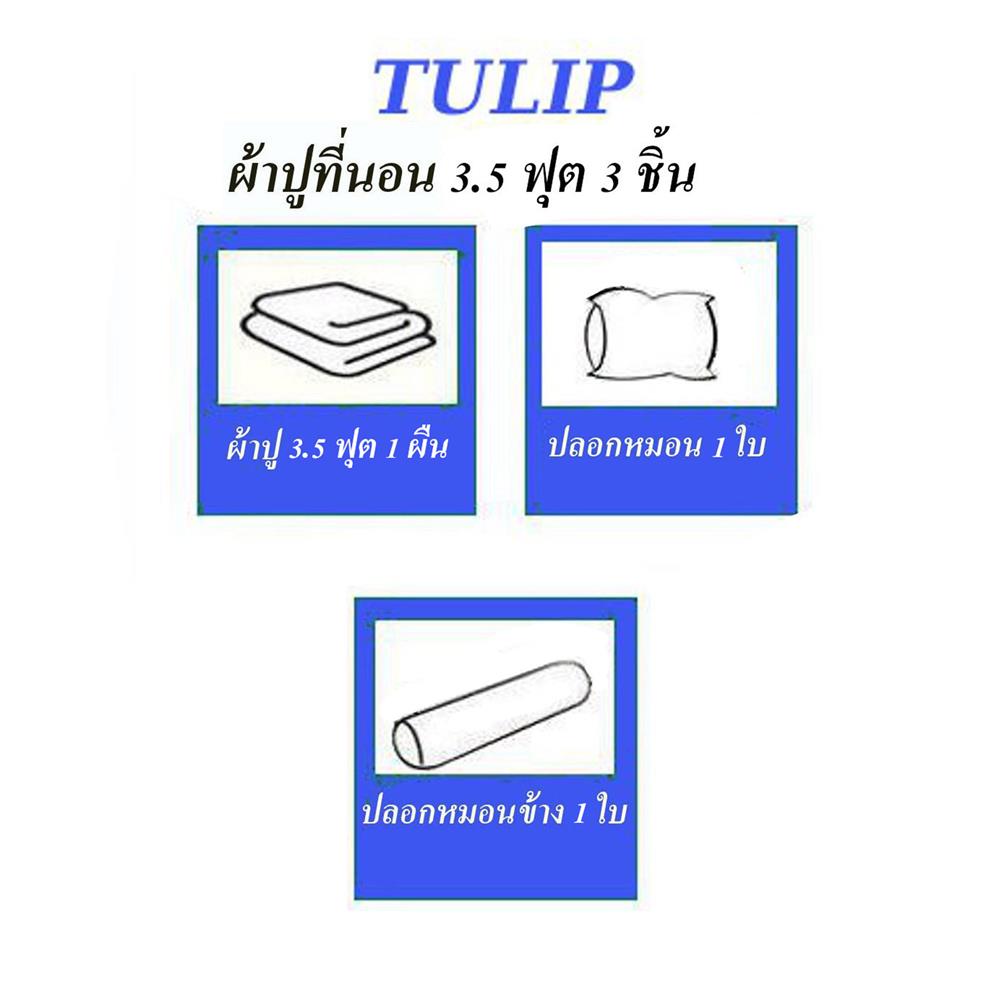 ชุดผ้าปูที่นอน 3.5 ฟุต (ชุด 3 ชิ้น)TULIP DELIGHT 60058-DL593