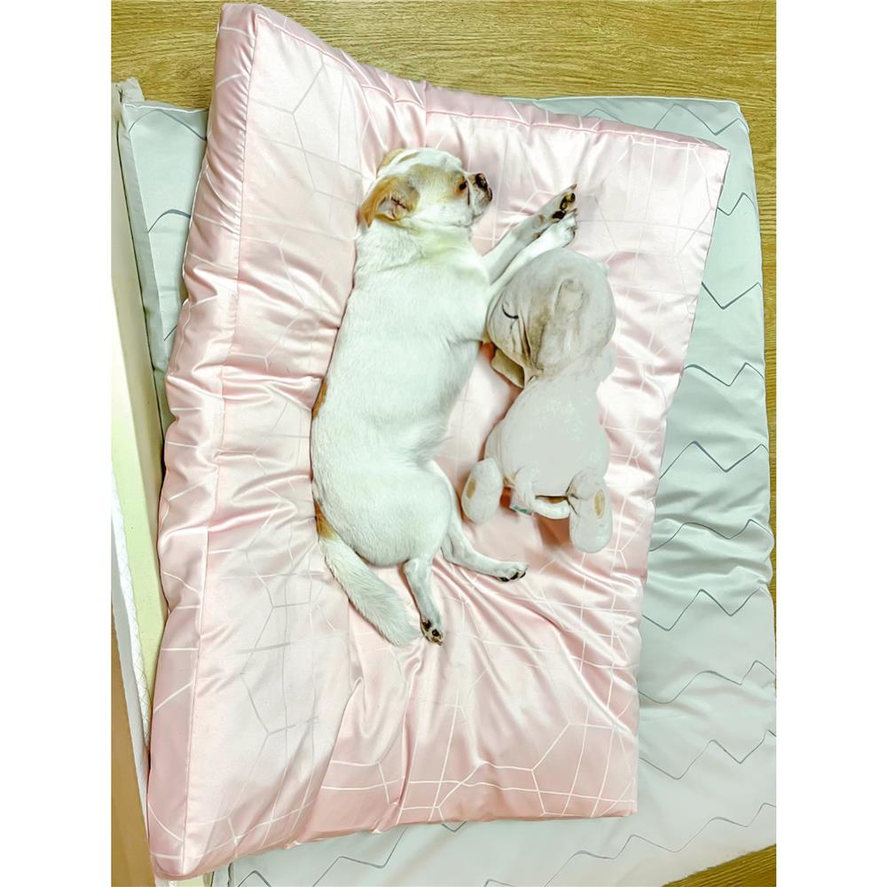 เบาะสุนัข พร้อมปลอก BED CARE FOR PET WR MINI ริ้วชมพู