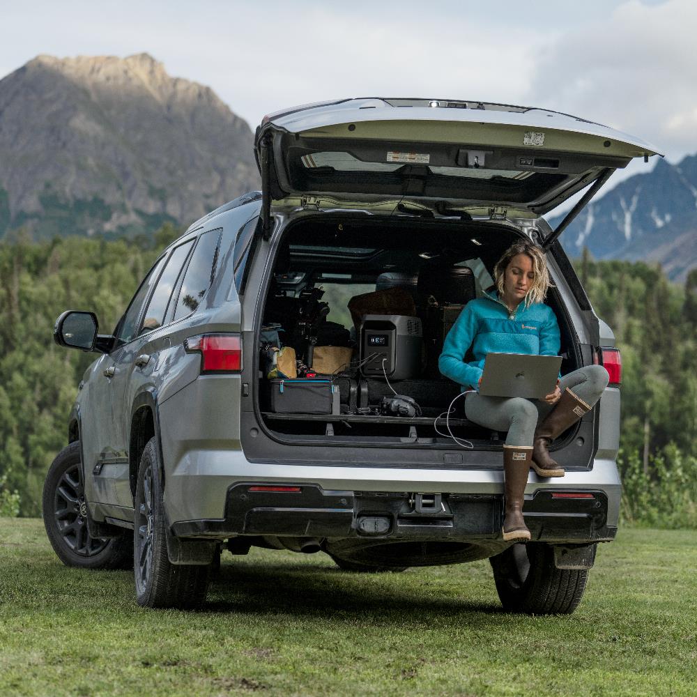 POWER BOX ECOFLOW DELTA 3 1500 1800 วัตต์ สีดำ