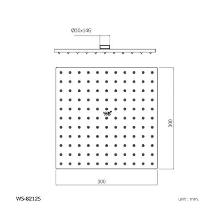 ฝักบัวก้านแข็ง WS-8212S_1