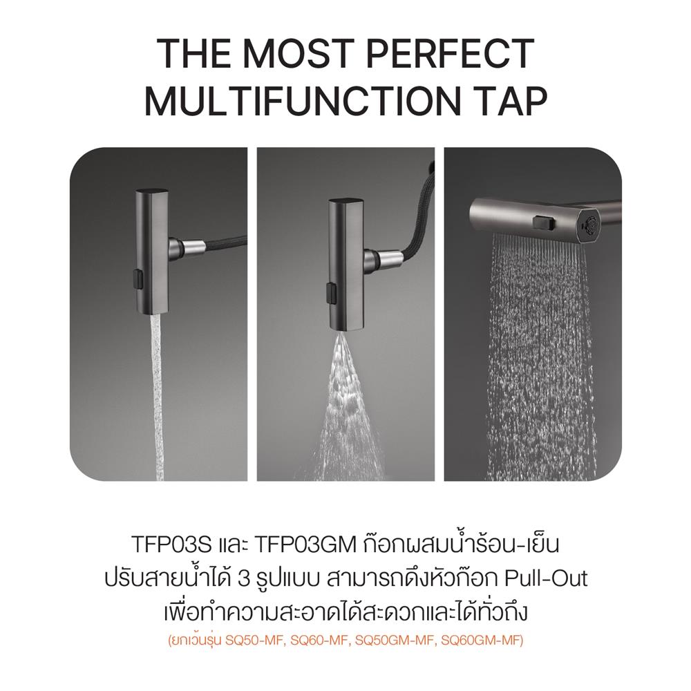 ซิงค์ฝัง 2 หลุม 1 ที่พัก MEX SQ1202LGM-MF สีเทาดำ