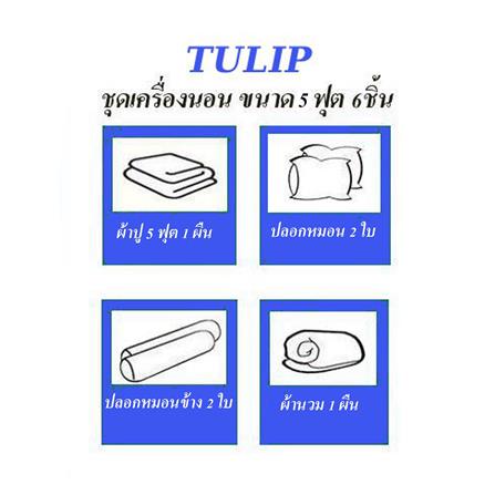 ชุดผ้าปูที่นอน 5 ฟุต (ชุด 6 ชิ้น) TULIP CHARMMY 60256-DLD036_4