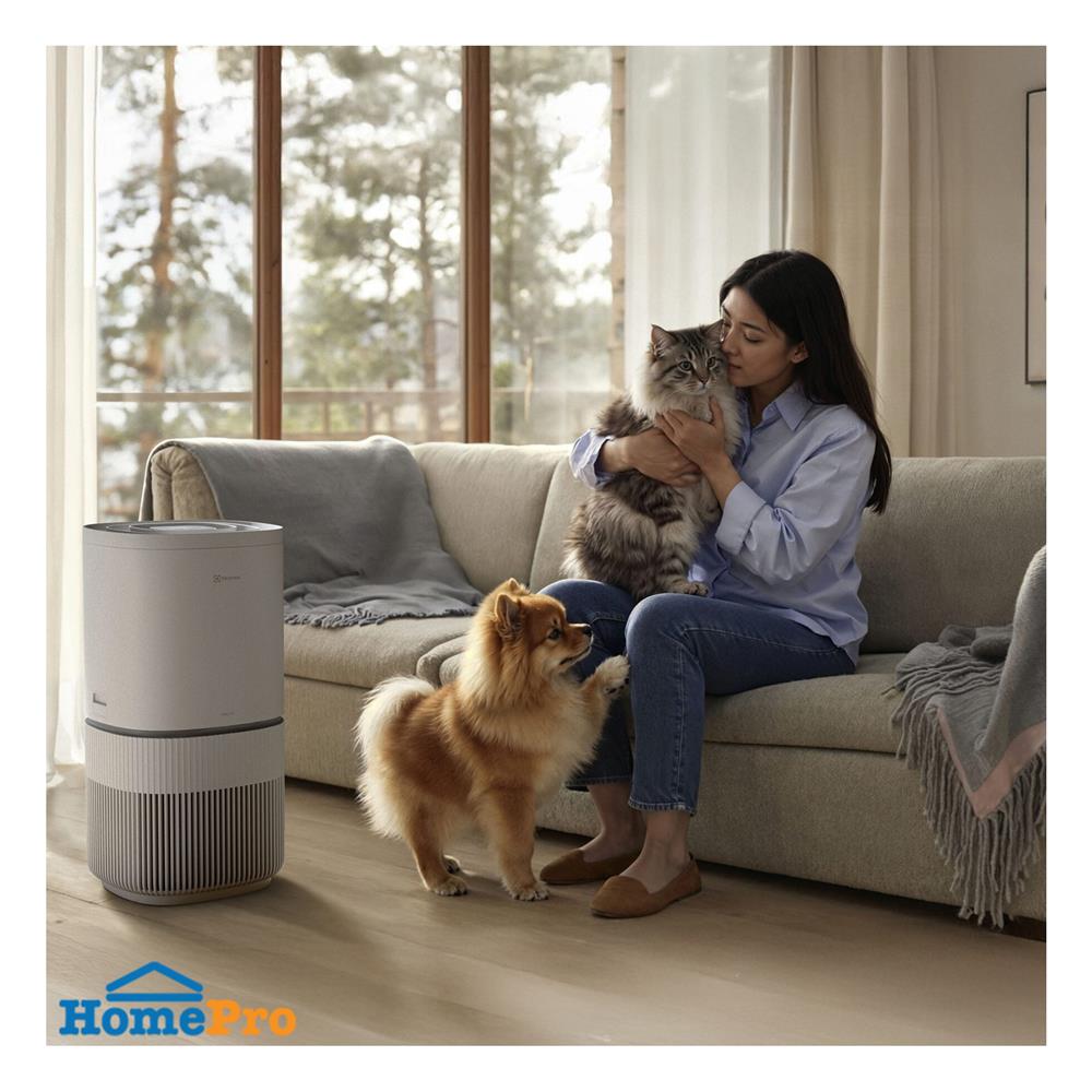 เครื่องฟอกอากาศ ELECTROLUX EP53-45UGB 56 ตารางเมตร