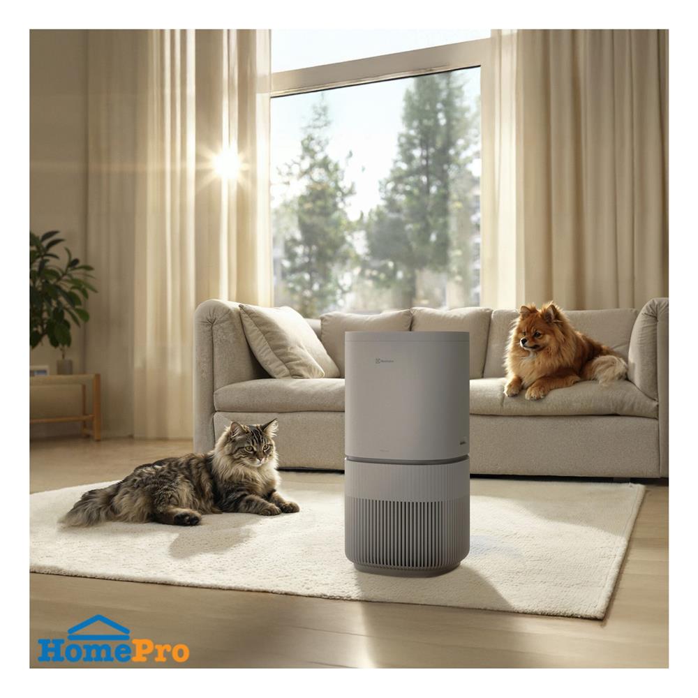 เครื่องฟอกอากาศ ELECTROLUX EP53-45UGB 56 ตารางเมตร