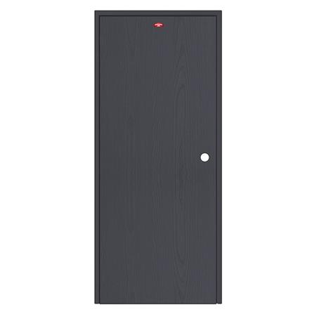 ชุดประตูเหล็ก เจาะลูกบิด PROFESSIONAL DOOR FR2LBK+WD2BK 96.4x203.5 ซม. สีเทาเม็ดทราย (เปิดด้านซ้าย ออกด้านนอก)