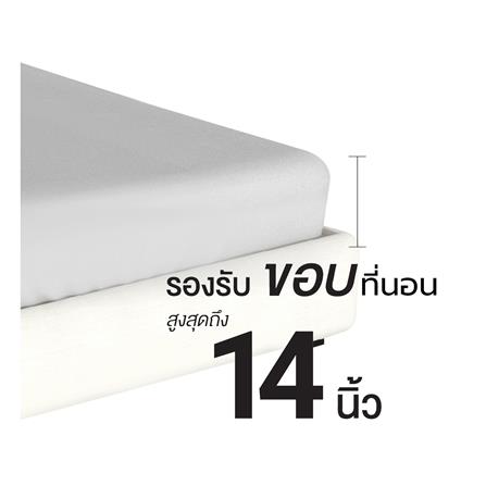 ชุดผ้าปูที่นอน 3.5 ฟุต (ชุด 4 ชิ้น) FROLINA MICROTEX MIDNIGHT NAVY SF039_9