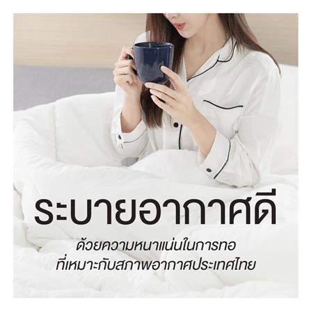 ชุดผ้าปูที่นอน 3.5 ฟุต (ชุด 3 ชิ้น) FROLINA MICROTEX MIDNIGHT NAVY SF039_5