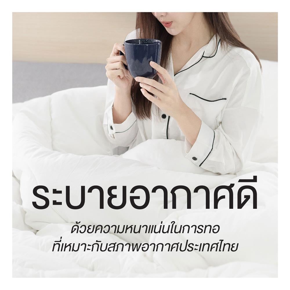 ชุดผ้าปูที่นอน 5 ฟุต (ชุด 6 ชิ้น) FROLINA MICROTEX MIDNIGHT NAVY SF039