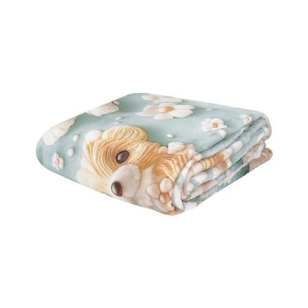 ผ้าห่ม SNAZZ 3D KORO 50X60 นิ้ว สี GREEN_0