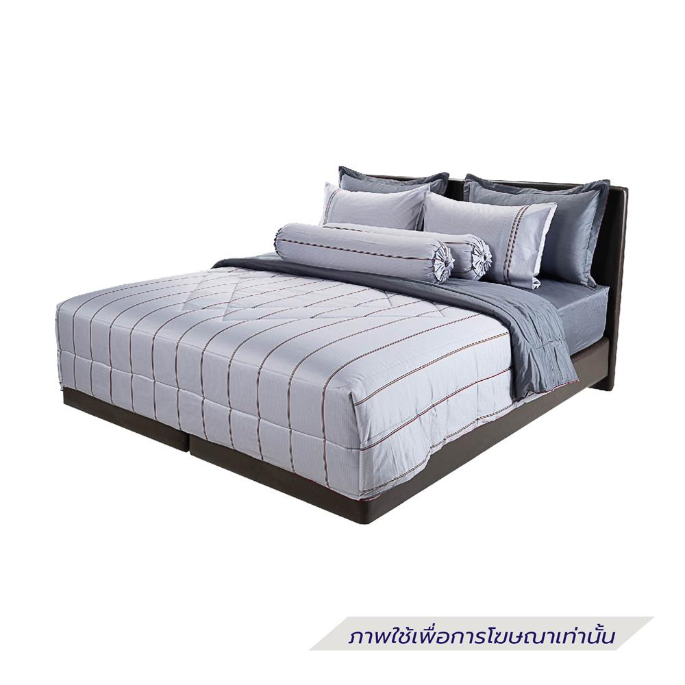 ชุดผ้าปูที่นอน 6 ฟุต (ชุด 6 ชิ้น) SANTAS COTTON USA REVEAL GR