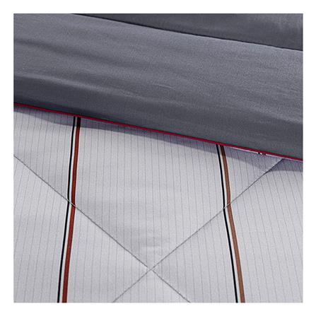 ชุดผ้าปูที่นอน 6 ฟุต (ชุด 6 ชิ้น) SANTAS COTTON USA REVEAL GR_3