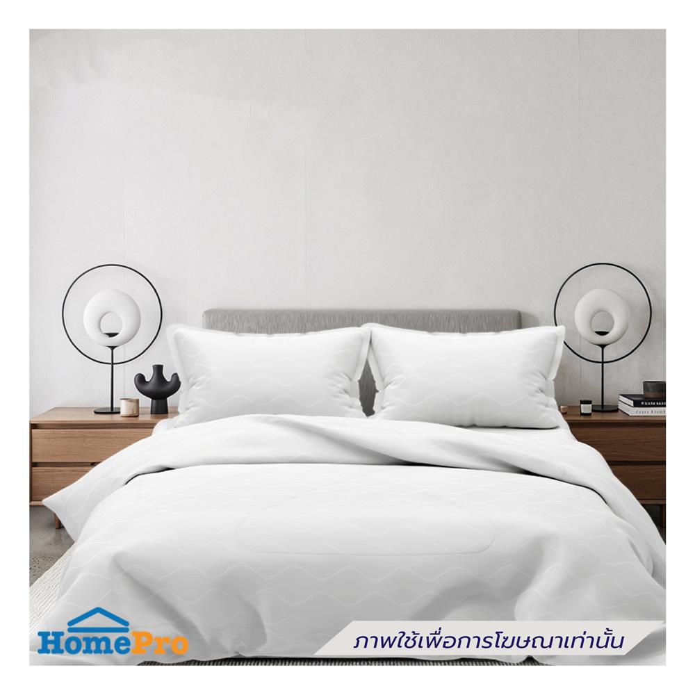 ชุดผ้าปูที่นอน 6 ฟุต (ชุด 3 ชิ้น) FROLINA SELUNE MARUNE SNJQ017