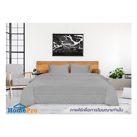 ชุดผ้าปูที่นอน 6 ฟุต (ชุด 5 ชิ้น) PICASSO SMILE สี GREY_0