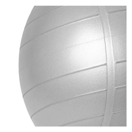 ลูกบอล COMMERCIAL GYM BALL MDBUDDY MD1281 55 ซม._2