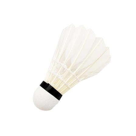 ลูกขนไก่ PARROT PRACTICE GRADE สีแดง (แพ็ก 12 ลูก)_3