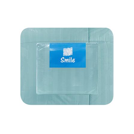 ชุดผ้าปูที่นอน 6 ฟุต (ชุด 6 ชิ้น) PICASSO SMILE สี GREEN MINT_3
