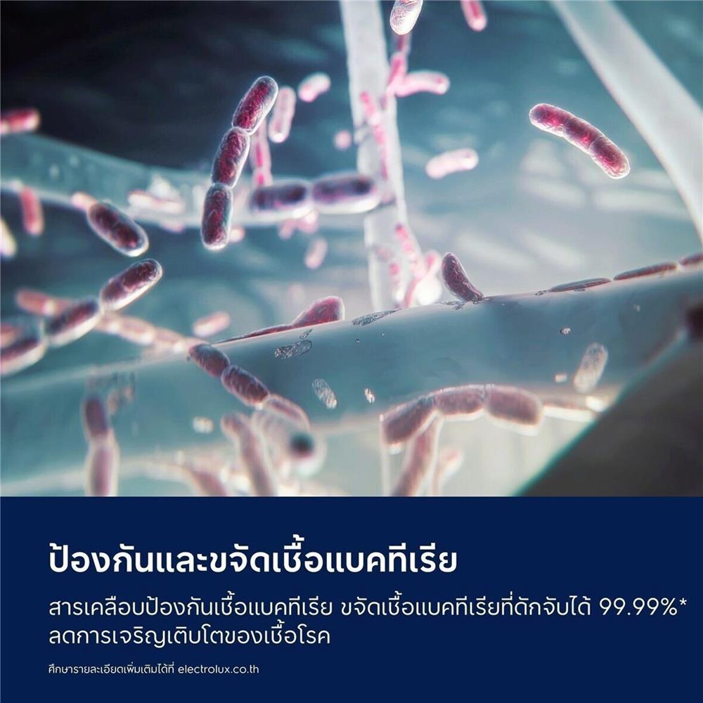 แผ่นกรองเครื่องฟอก ELECTROLUX EFFPET4