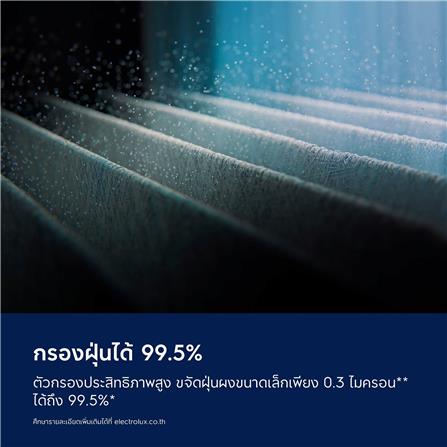 แผ่นกรองเครื่องฟอก ELECTROLUX EFFPET4_7