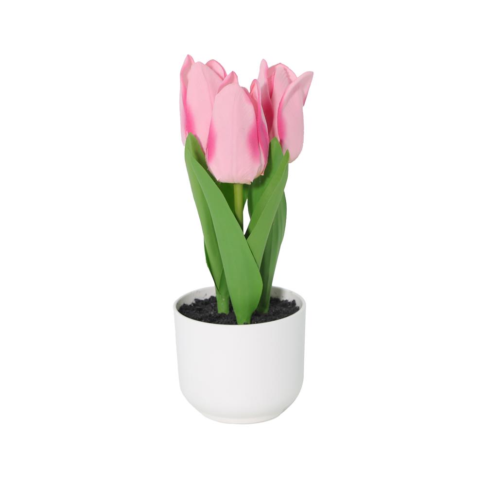 ดอกทิวลิปสีชมพู SPRING 23 ซม.