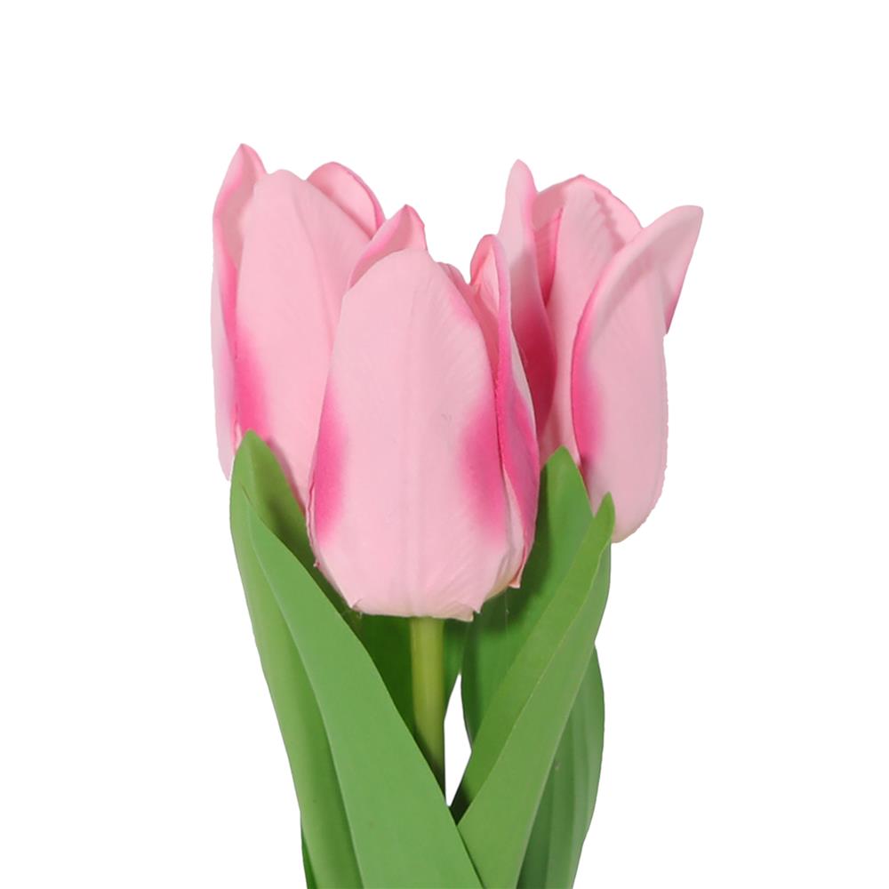 ดอกทิวลิปสีชมพู SPRING 23 ซม.