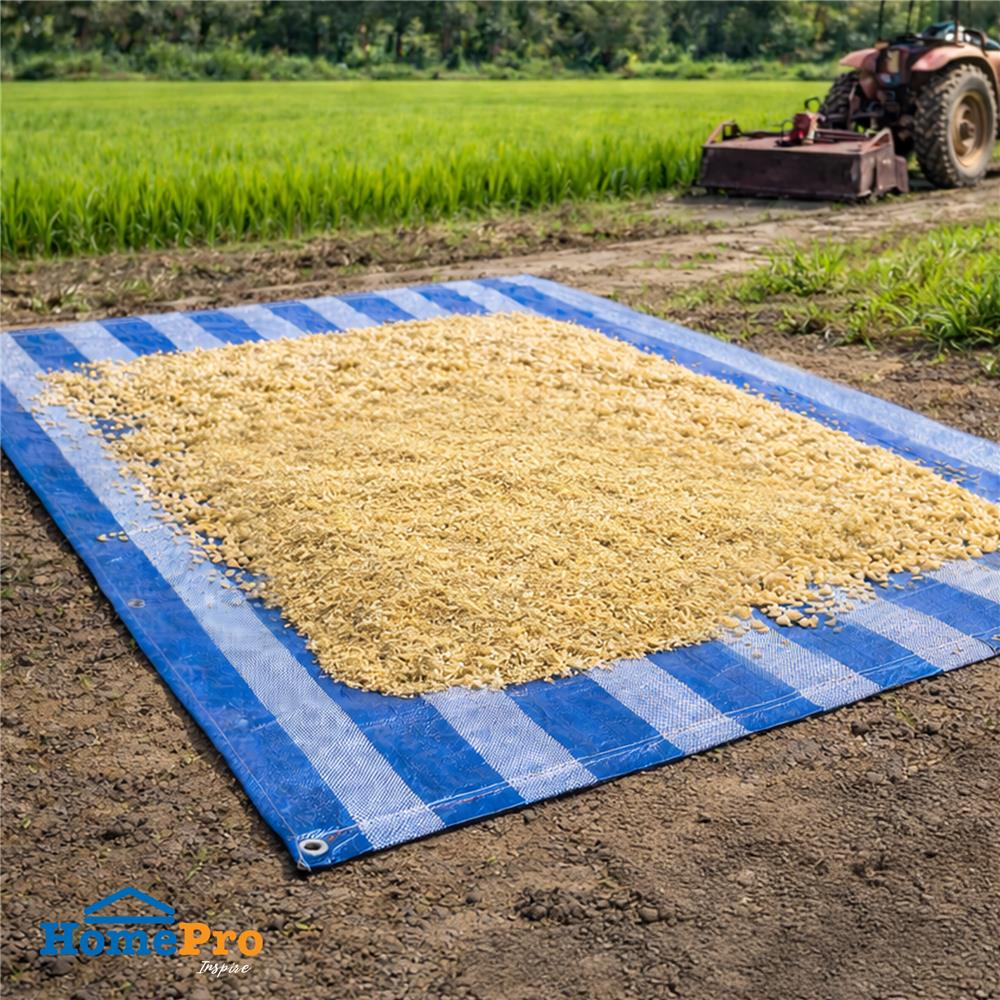 ผ้าใบเกรดหนา SPRING 2x3 ม. สีฟ้า/ขาว