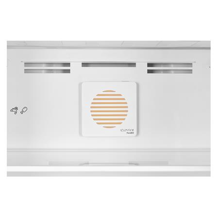 ตู้เย็น 2 ประตู TOSHIBA GR-RT349WE-PMTH(68) 9.5 คิว สีดำ อินเวอร์เตอร์_5